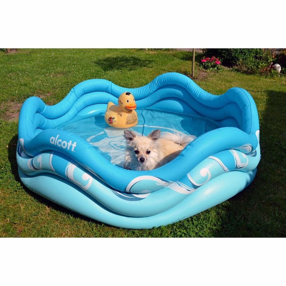Alcott Nafukovací bazén pre psov