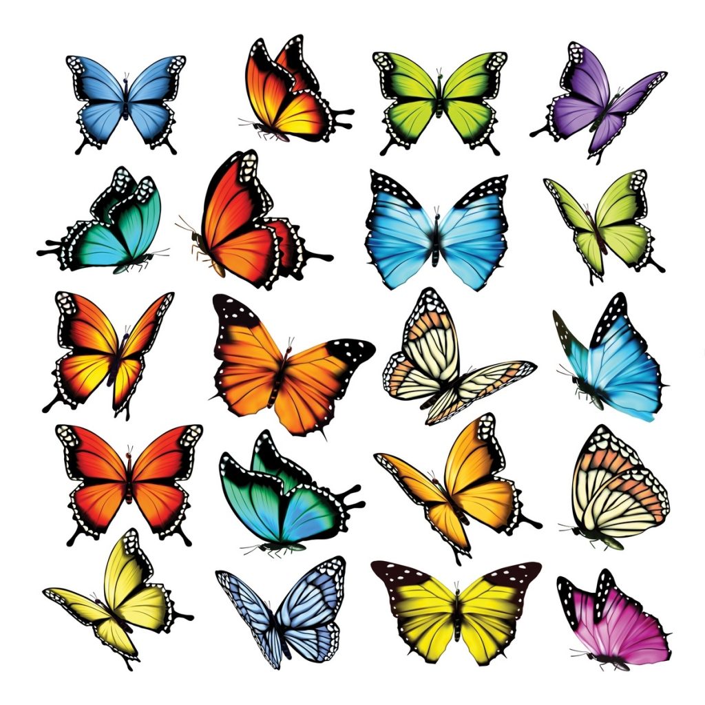 Samolepiaca dekorácia Butterflies