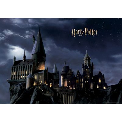 Detská fototapeta Harry Potter 252 x 182 cm